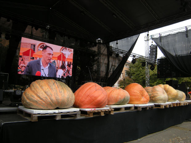 ПОЧИЊУ 34. ДАНИ ЛУДАЈЕ: Кикинда у наранџастом